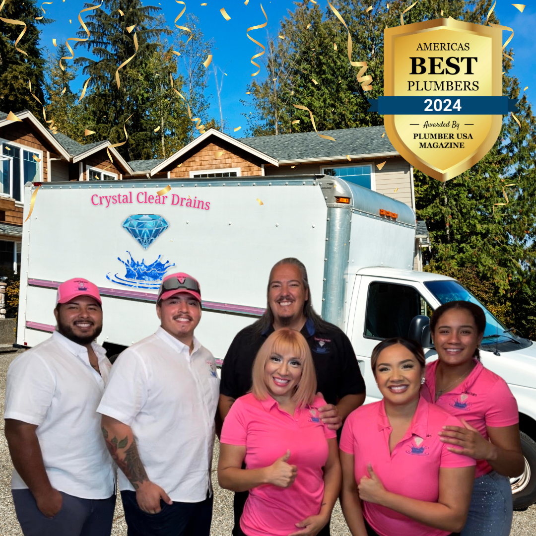 Crystal Clear Drains plumbing work in New Tampa